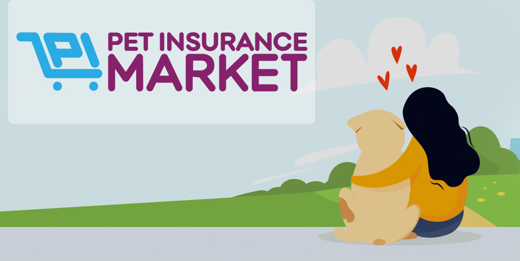 Find & Compare Pet Insurance Quotes in Washington Pet Insurance Market